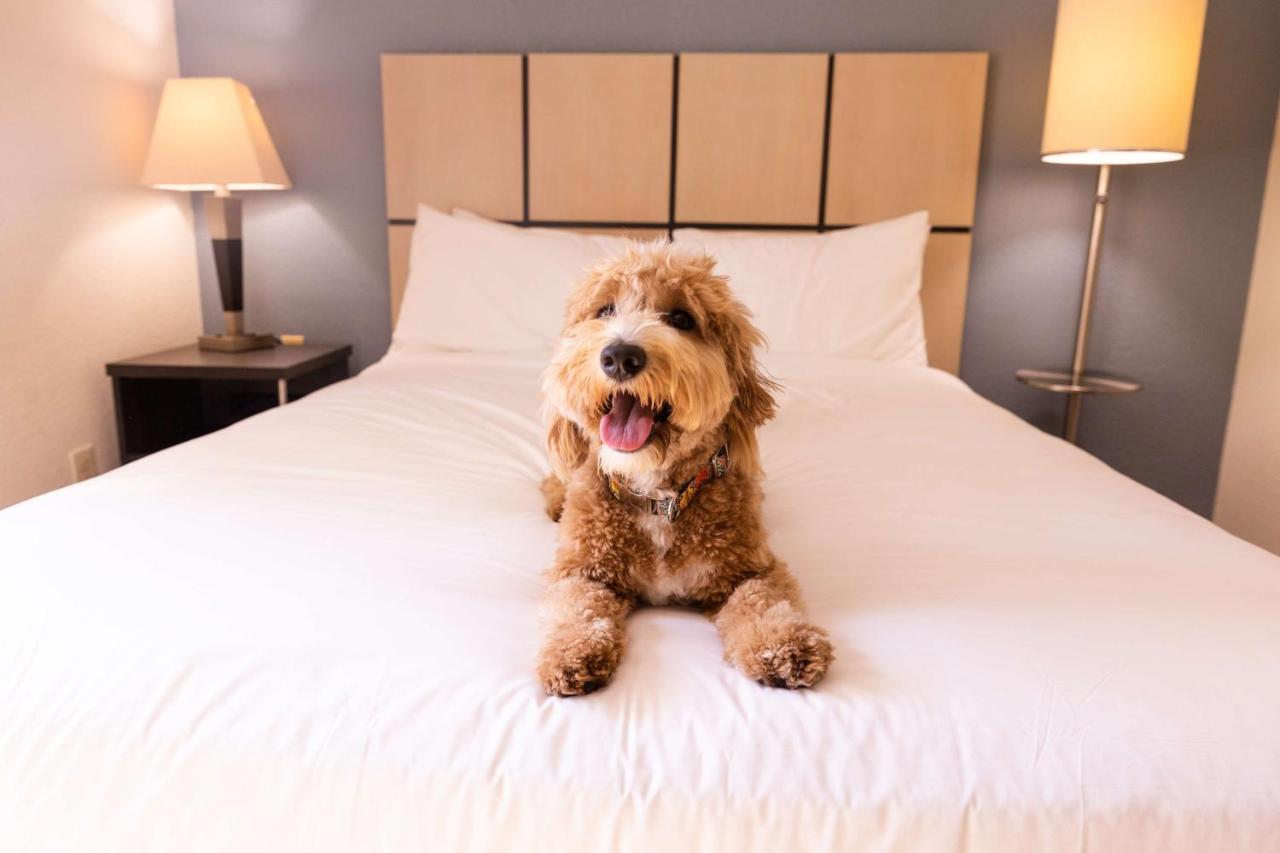 Sonesta Simply Suites Chicago Либъртивил Екстериор снимка